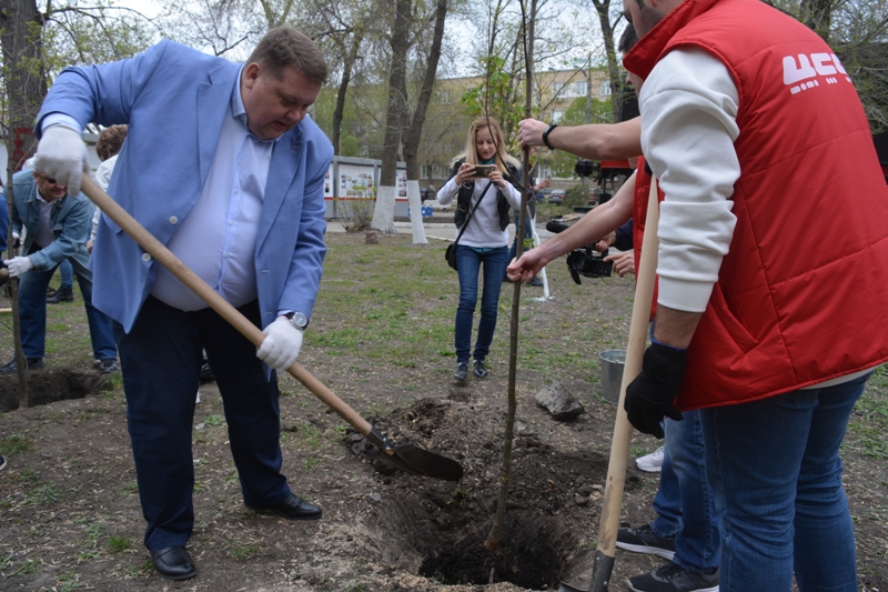 Железнодорожники посадили 44 липы в Саратове
