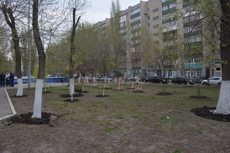 Железнодорожники посадили 44 липы в Саратове