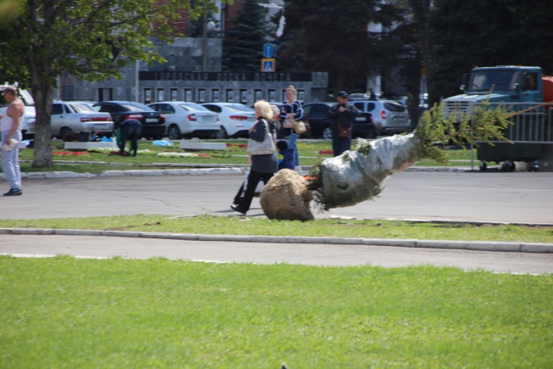 На Театральной площади начали высаживать новые ели