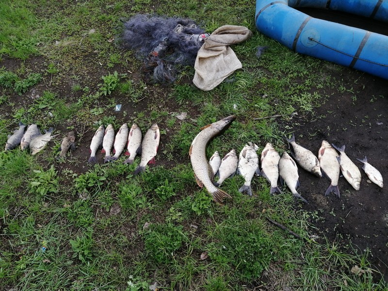 Под Вольском 62-летнего пенсионера задержали за незаконную ловлю рыбы