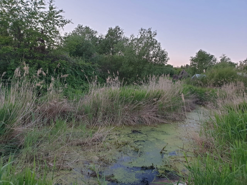 В Ленинском районе мужчина погиб в болоте