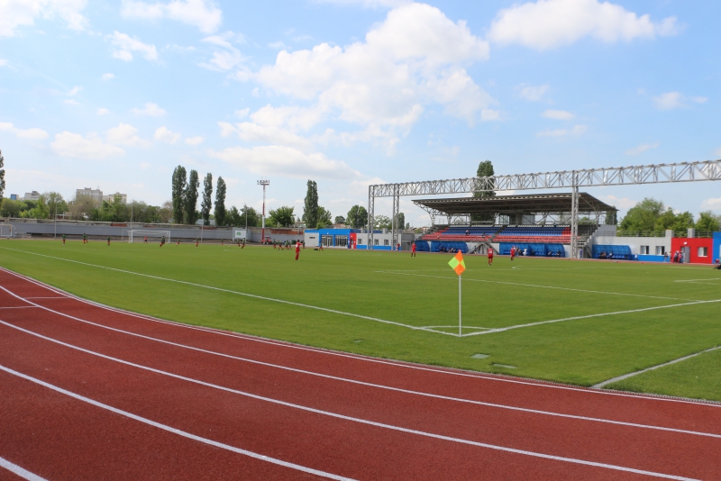 Футбольное поле «Авангарда» зарастает грибами