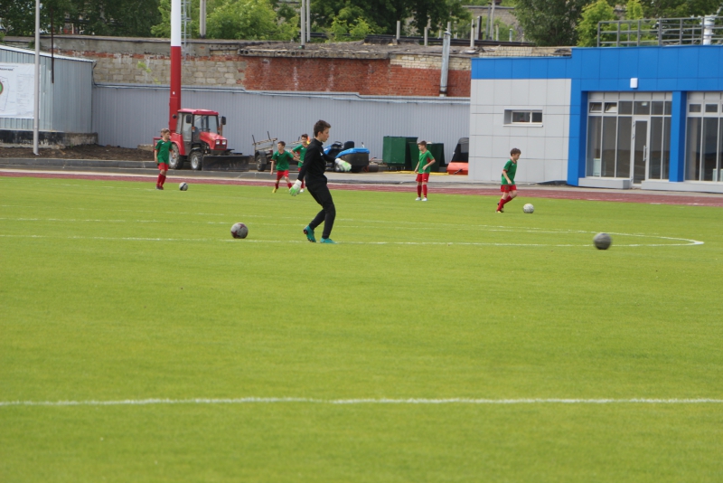 Футбольное поле «Авангарда» зарастает грибами