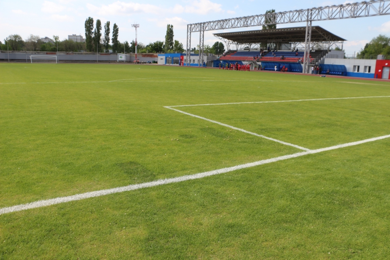 Футбольное поле «Авангарда» зарастает грибами