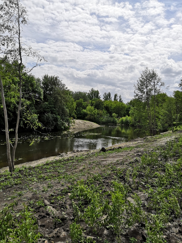 Депутат Вадим Рогожин отреагировал на жалобы жителей на разрушения в реконструированном парке Петровска