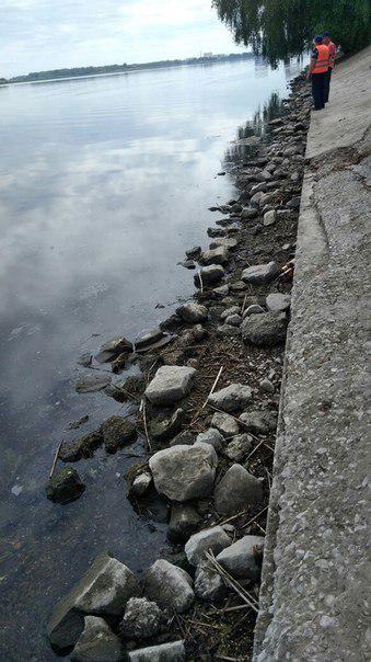 В министерстве экологии не заметили обмеления Волги у Саратова