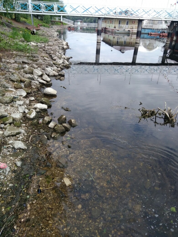 В министерстве экологии не заметили обмеления Волги у Саратова