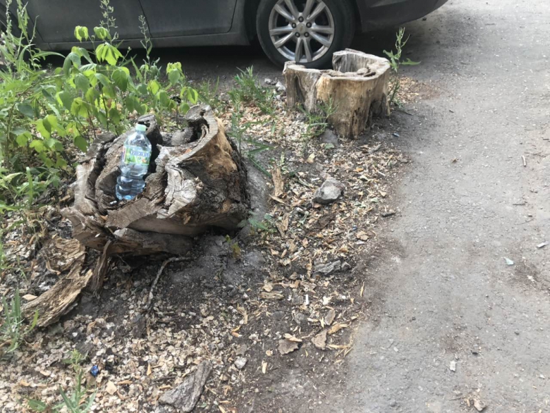 Жительница дома на Белоглинской пожаловалась на клопов и отсутствие горячей воды