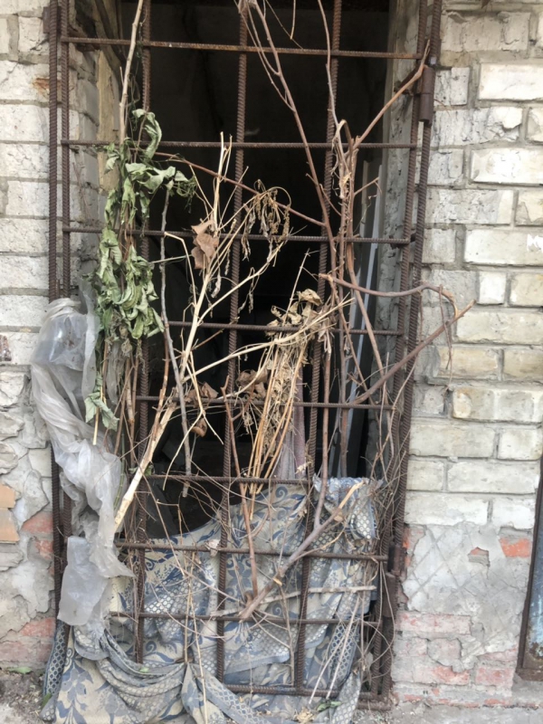 Жительница дома на Белоглинской пожаловалась на клопов и отсутствие горячей воды