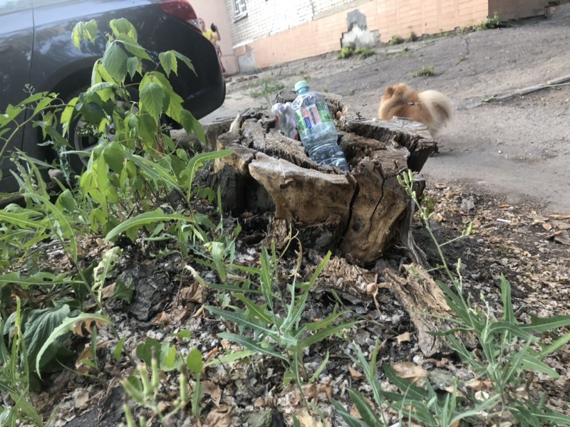 Жительница дома на Белоглинской пожаловалась на клопов и отсутствие горячей воды