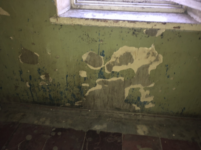 Жительница дома на Белоглинской пожаловалась на клопов и отсутствие горячей воды