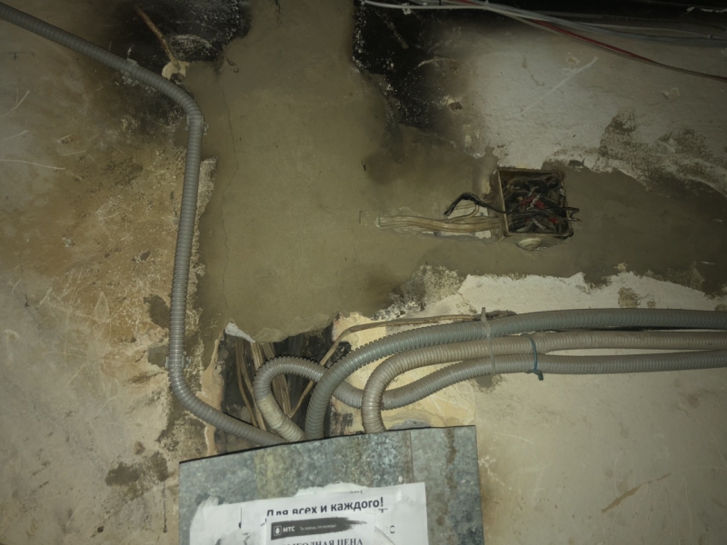 Жительница дома на Белоглинской пожаловалась на клопов и отсутствие горячей воды