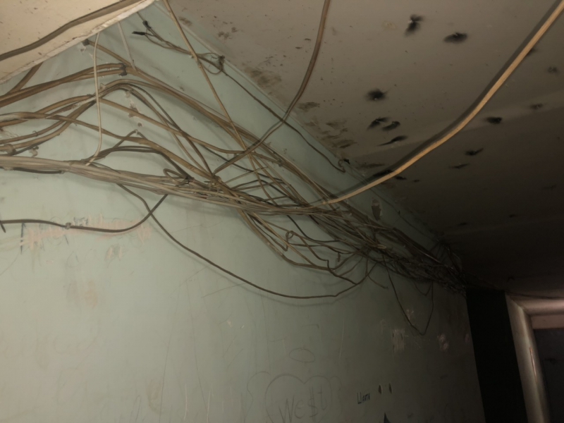 Жительница дома на Белоглинской пожаловалась на клопов и отсутствие горячей воды