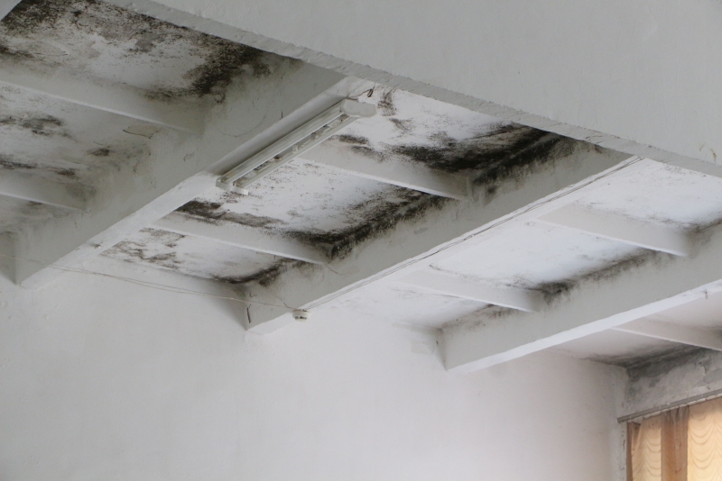 Депутат Рогожин обеспокоен темпами ремонта школьного спортзала в Липовке в рамках нацпроекта