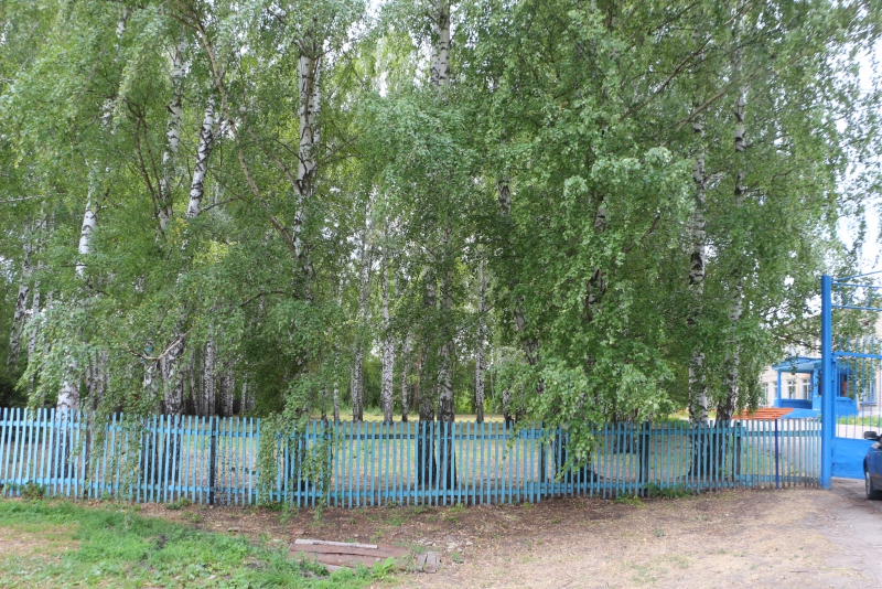 Депутат Рогожин обеспокоен темпами ремонта школьного спортзала в Липовке в рамках нацпроекта