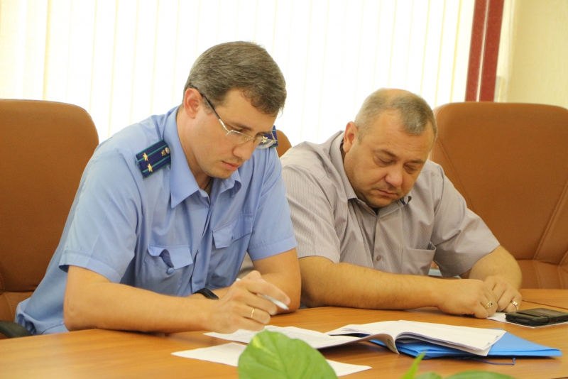 Саратовская прокуратура не поддержала идею отстрела диких собак и бакланов