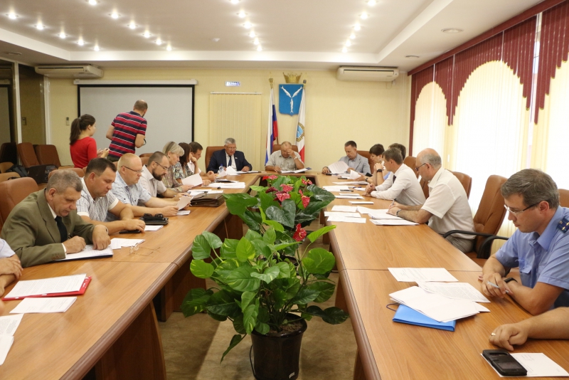 Саратовская прокуратура не поддержала идею отстрела диких собак и бакланов