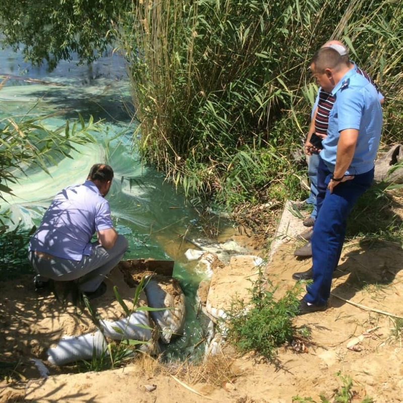Прокуратура организовала проверку из-за загрязнения пруда под Татищевом