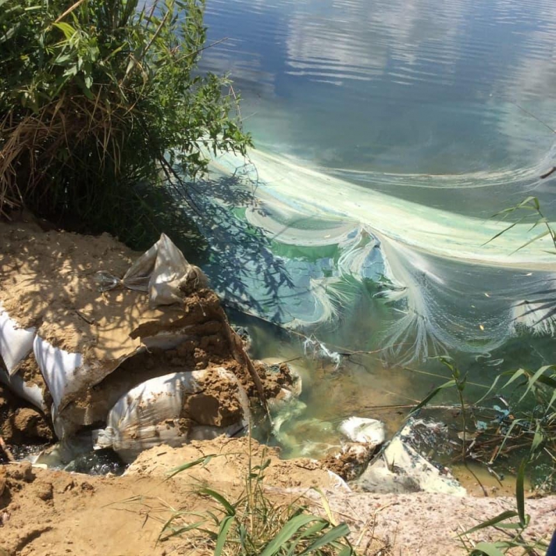 Прокуратура организовала проверку из-за загрязнения пруда под Татищевом