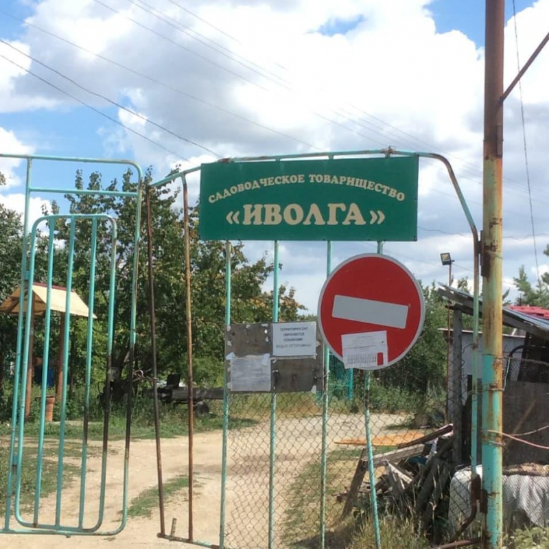 Прокуратура организовала проверку из-за загрязнения пруда под Татищевом