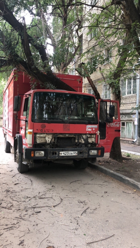 В Ленинском районе упавшее дерево придавило грузовик