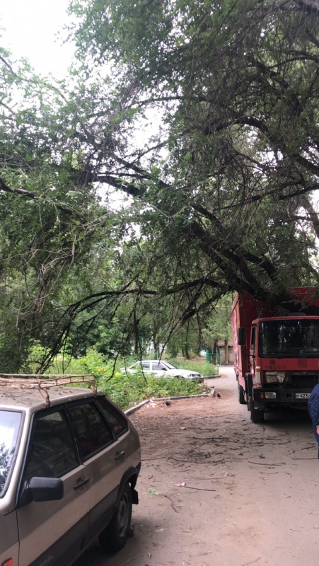 В Ленинском районе упавшее дерево придавило грузовик