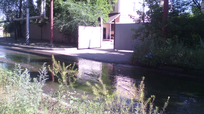 На Азина власти уже 5 лет игнорируют жалобы на речку-«вонючку» во дворе