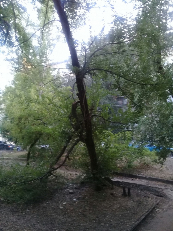 В Ленинском районе ветки опасно нависли над газовой трубой