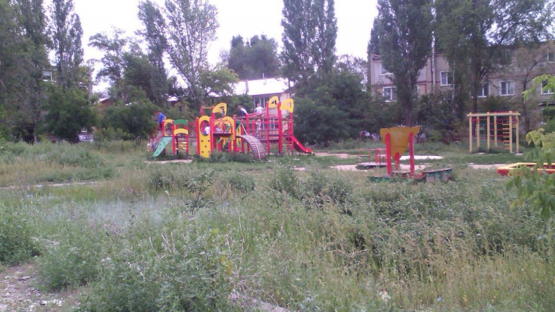В Ершове детские площадки превратились в помойку и дикие заросли