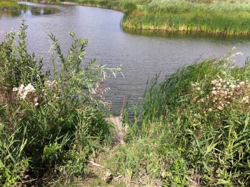 В Романовском районе сторож пруда застрелил рыбака из ружья в голову