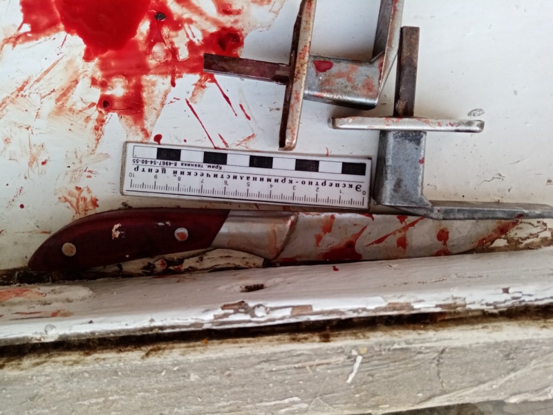 Сельчанка при самообороне проткнула ножом горло мужчине