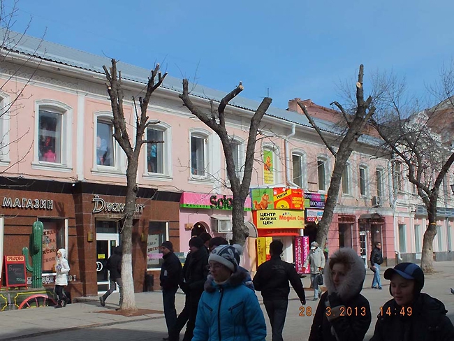 Омолаживание деревьев на Кирова общественники называют «уничтожением насаждений»