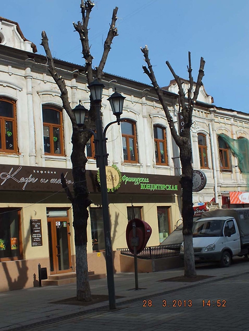 Омолаживание деревьев на Кирова общественники называют «уничтожением насаждений»