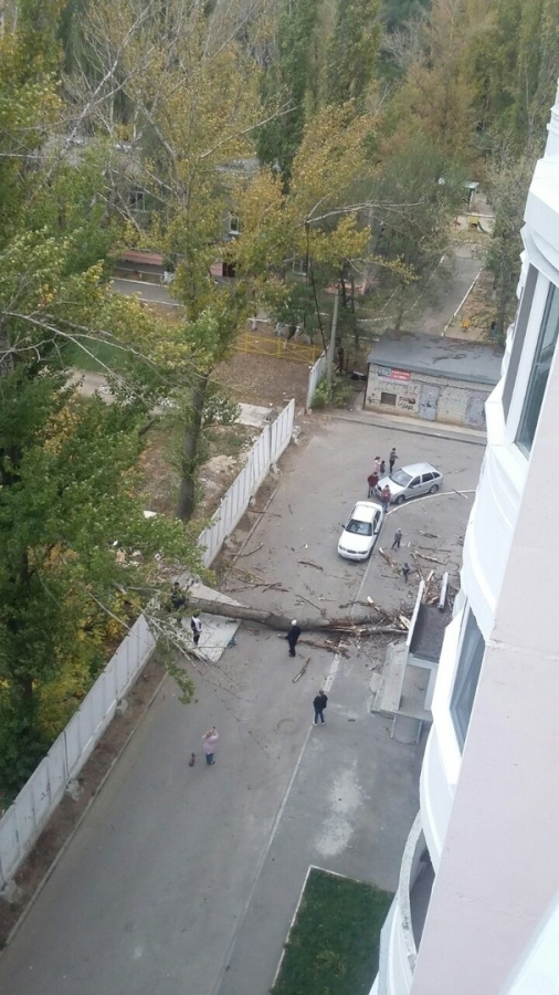 На Производственной трухлявое дерево рухнуло на дом и машину