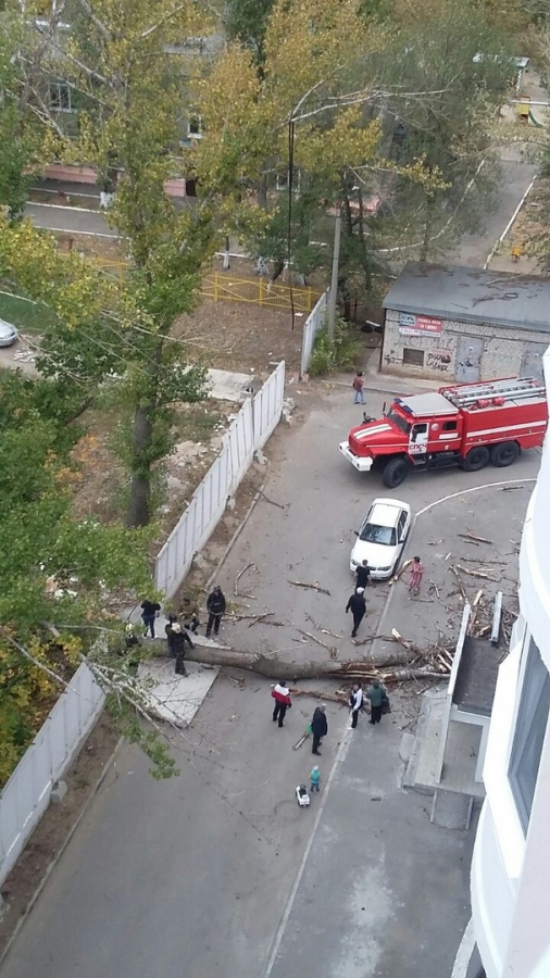 На Производственной трухлявое дерево рухнуло на дом и машину