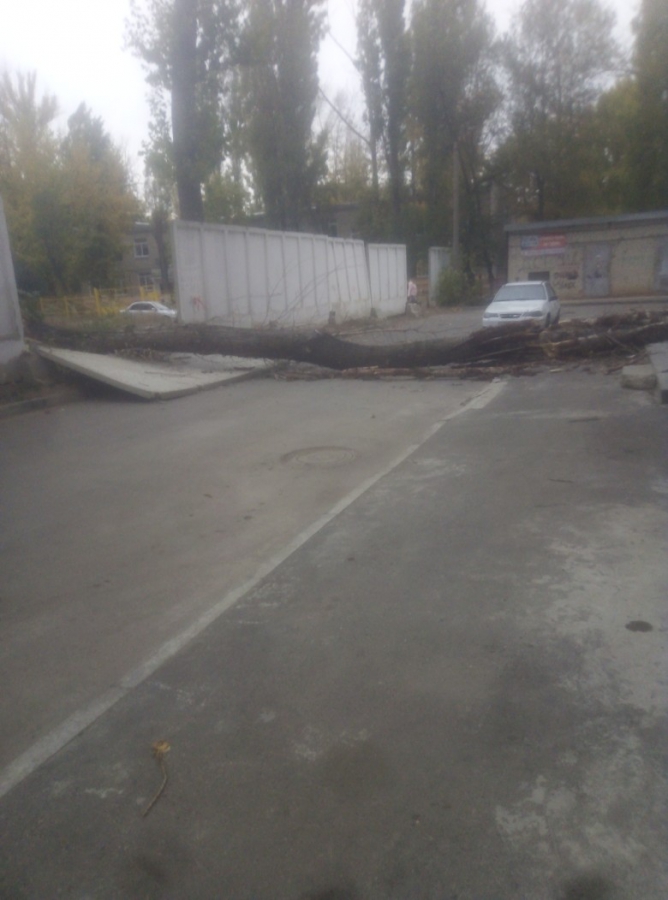 На Производственной трухлявое дерево рухнуло на дом и машину