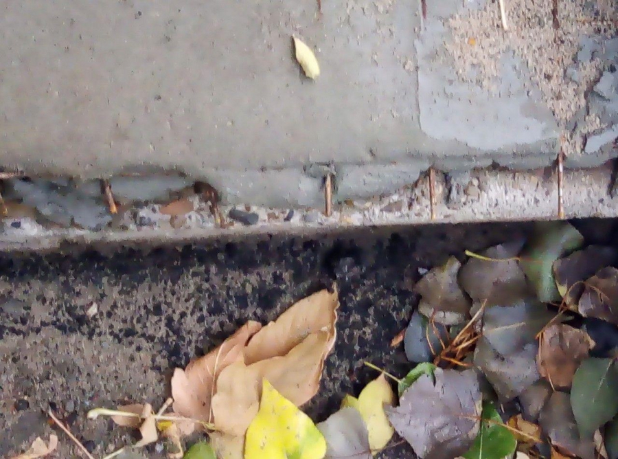 Вадим Рогожин рассказал о проблемах при благоустройстве дворов в Саратове