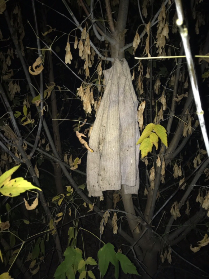 Розыск пропавшей Лизы Киселевой: саратовцы нашли сменную обувь и одежду