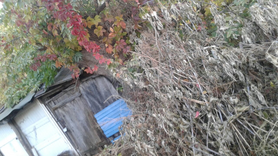 Рядом со школой на Рахова нашли опасный для детей двор