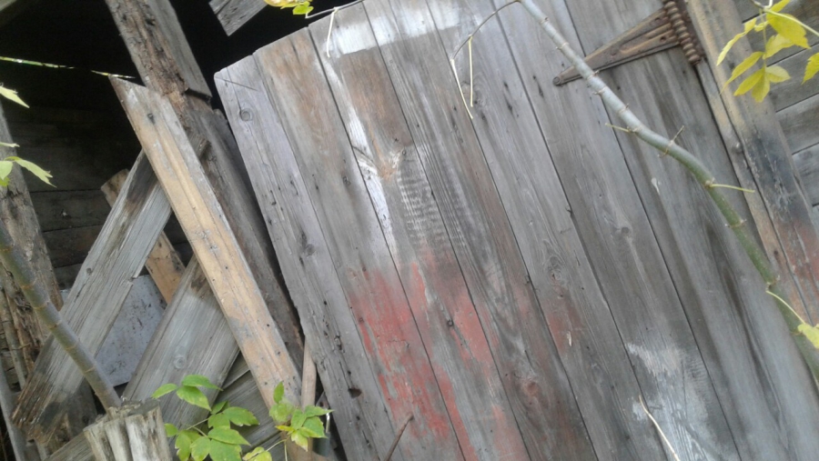 Рядом со школой на Рахова нашли опасный для детей двор