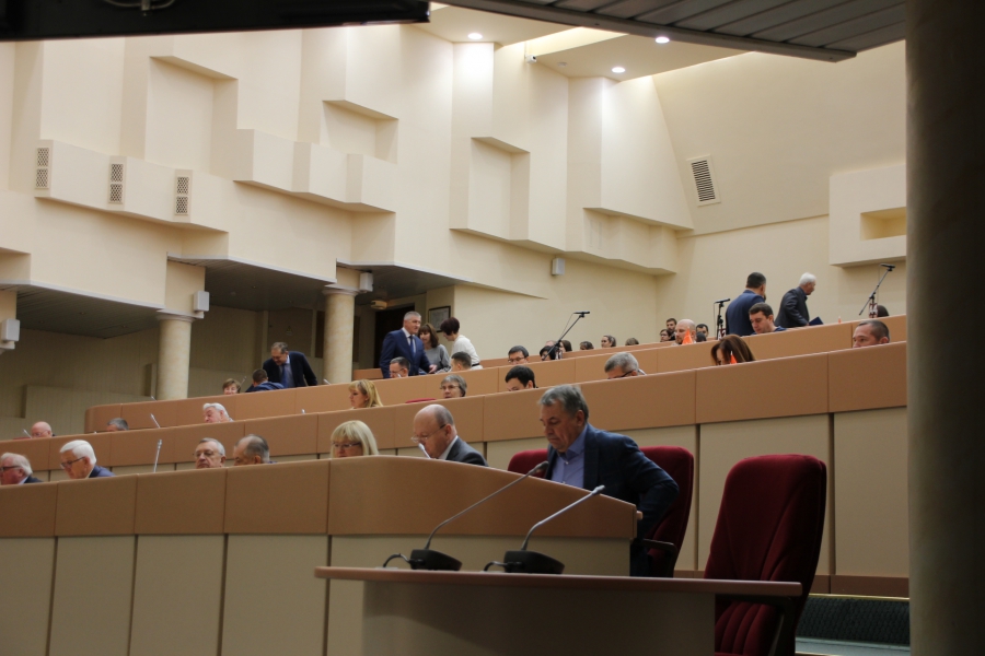 Депутат Бондаренко явился на заседание думы с мегафоном для большей убедительности