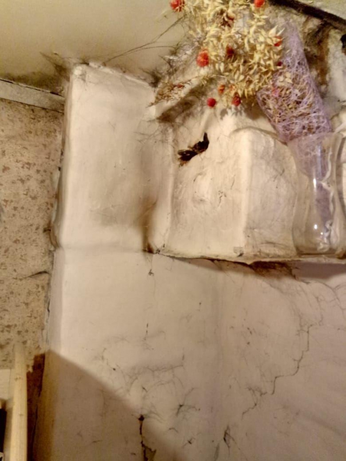 Газовики назвали предполагаемую причину гибели 5 человек в Узморье