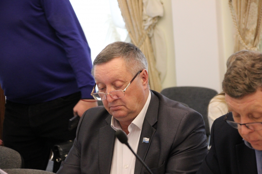 В городской думе обвинили в лукавстве Ларису Ревуцкую