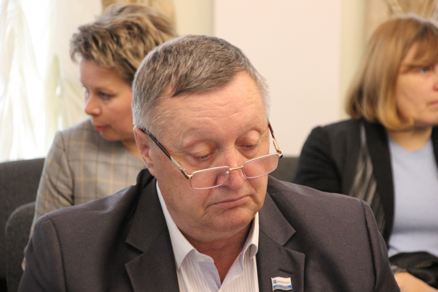 В городской думе обвинили в лукавстве Ларису Ревуцкую