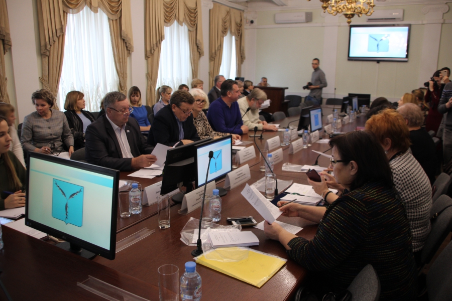 В городской думе обвинили в лукавстве Ларису Ревуцкую