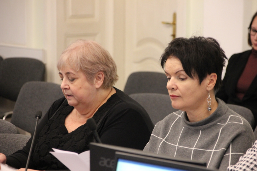 В городской думе обвинили в лукавстве Ларису Ревуцкую