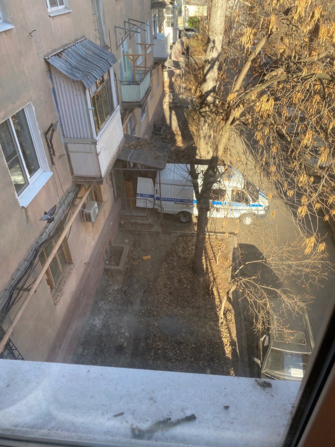 Десятки умирающих животных спасли на Шелковичной. Хозяйку жилья не нашли