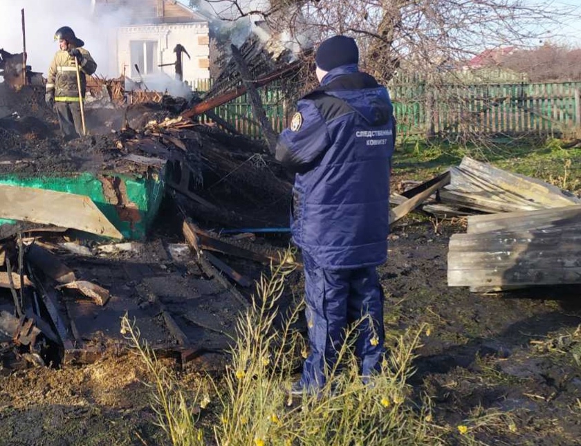 СК о пожаре под Ртищевом: Дом сгорел дотла вместе с двумя детьми