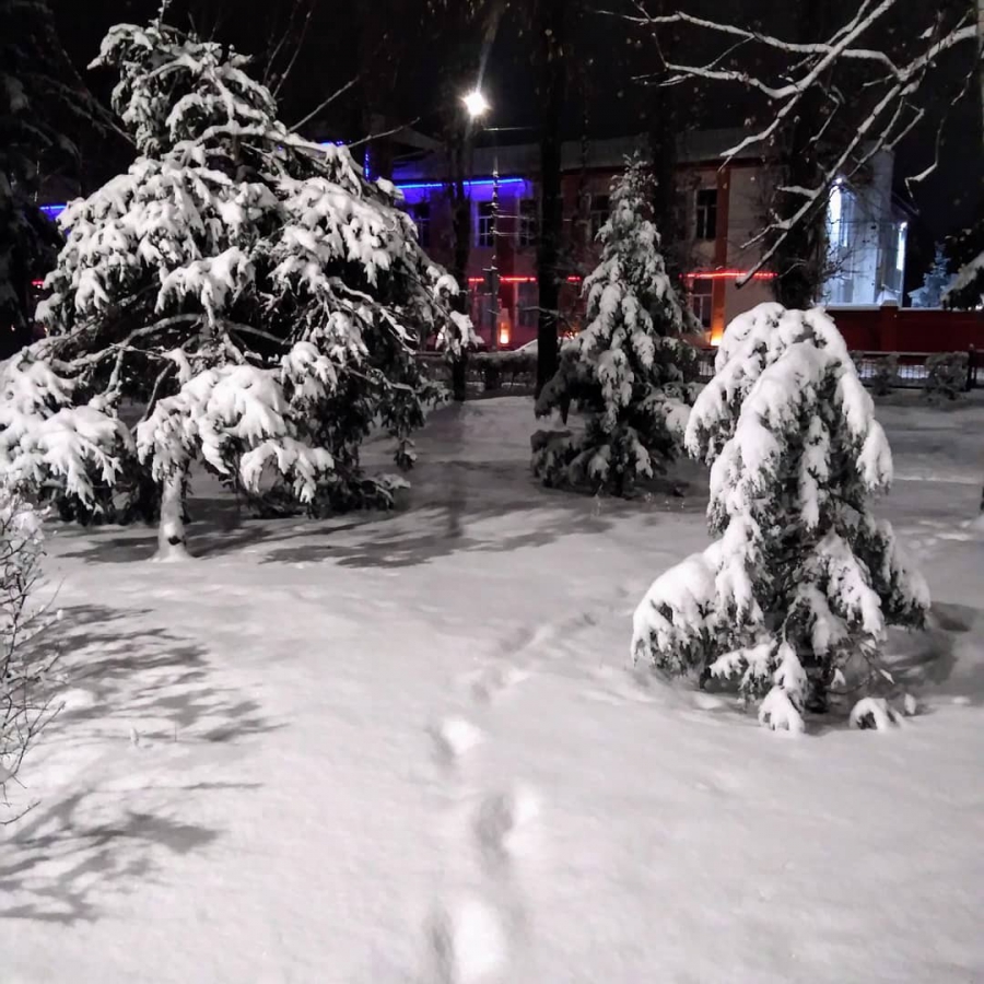 Руководитель Гидрометцентра: В Саратове образовался снежный слой 13 см