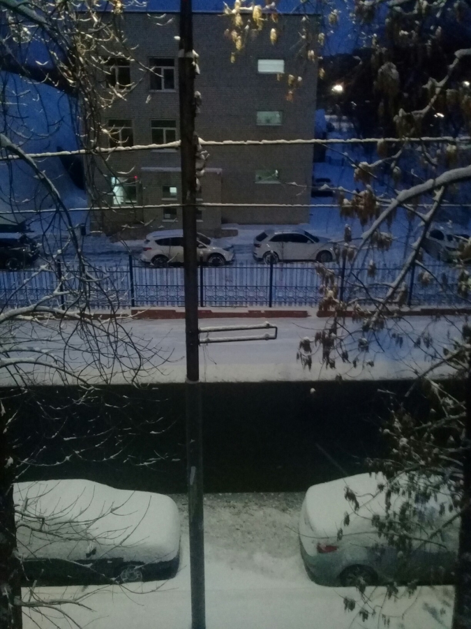 Руководитель Гидрометцентра: В Саратове образовался снежный слой 13 см